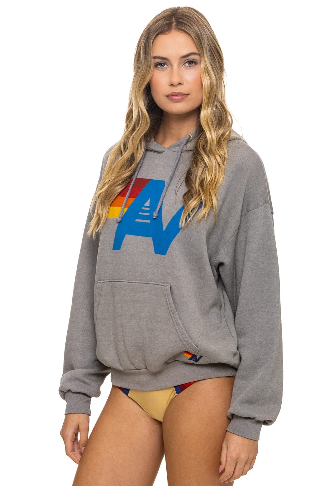 LOGO PULLOVER RELAXED HOODIE - SLATE - Image 3