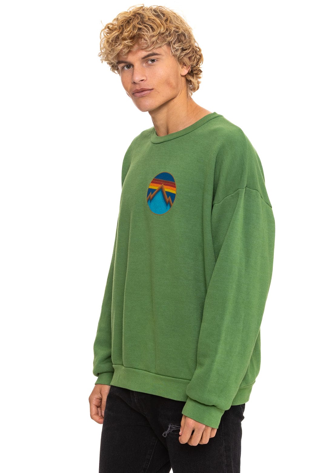 ALL SEASONS CIRCLE RELAXED CREW SWEATSHIRT - PALM - Image 4